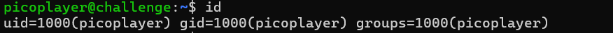 picoCTF Permissions SSH